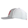 Pledge Allegiance Mens Cap